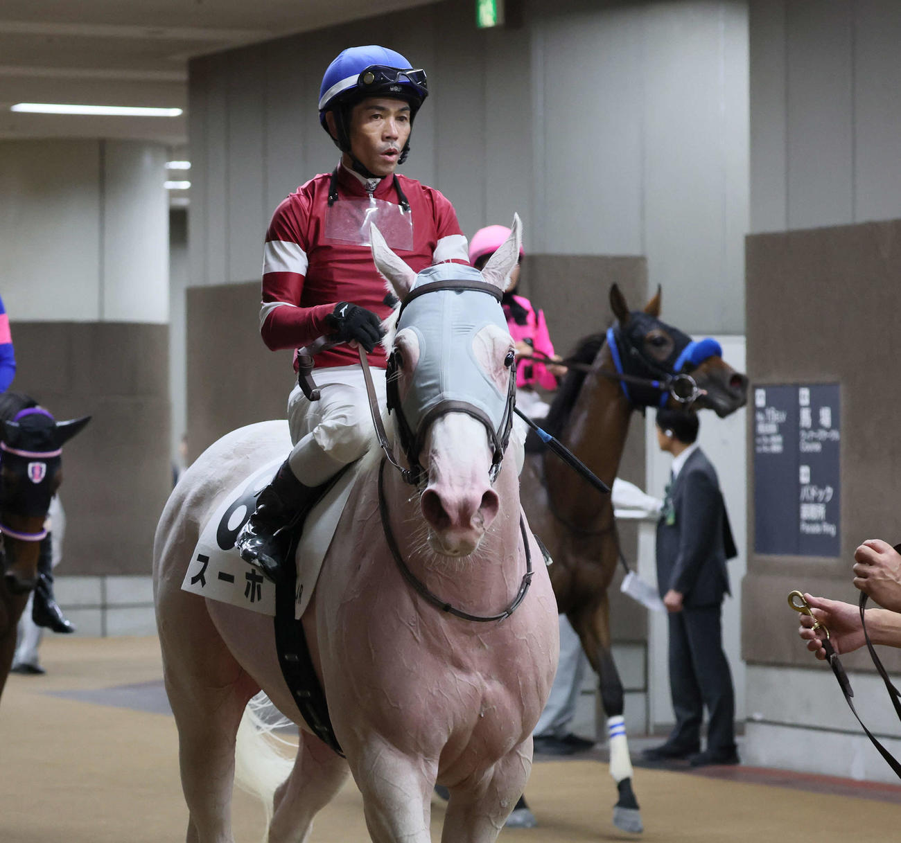 東京4R、デビュー戦で7着に敗れたスーホと戸崎騎手（撮影・丹羽敏通）