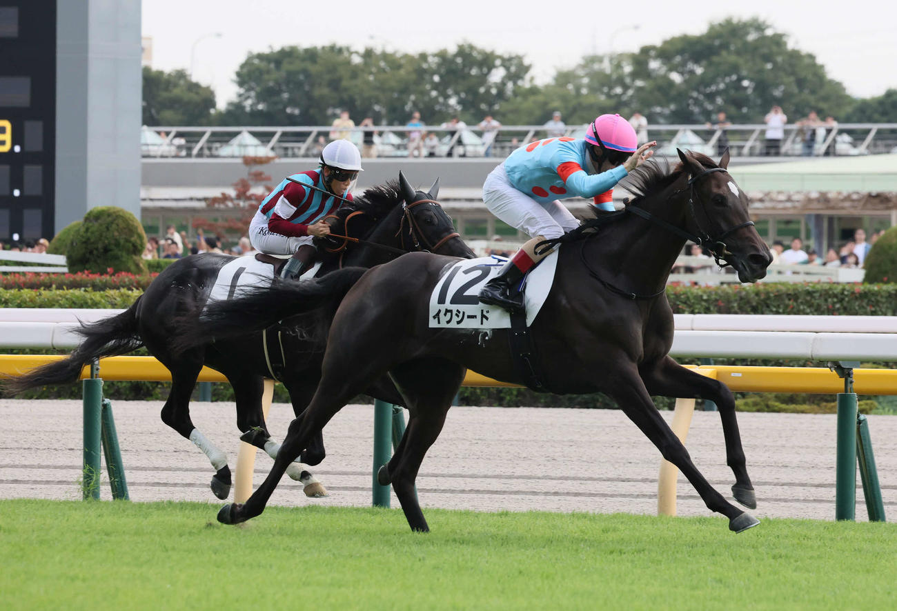 東京5R、先に抜け出したモンシークをとらえデビュー戦に勝利したイクシード（手前）（撮影・丹羽敏通）
