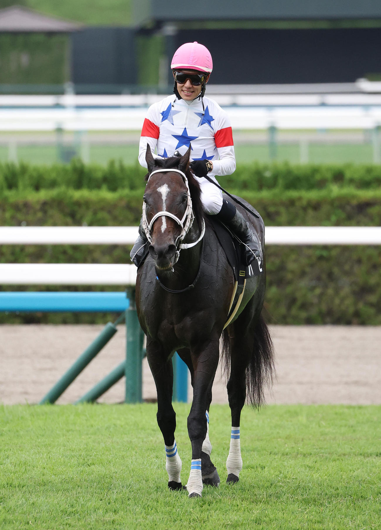 京都11R、太秦Sを制したハピ（撮影・白石智彦）