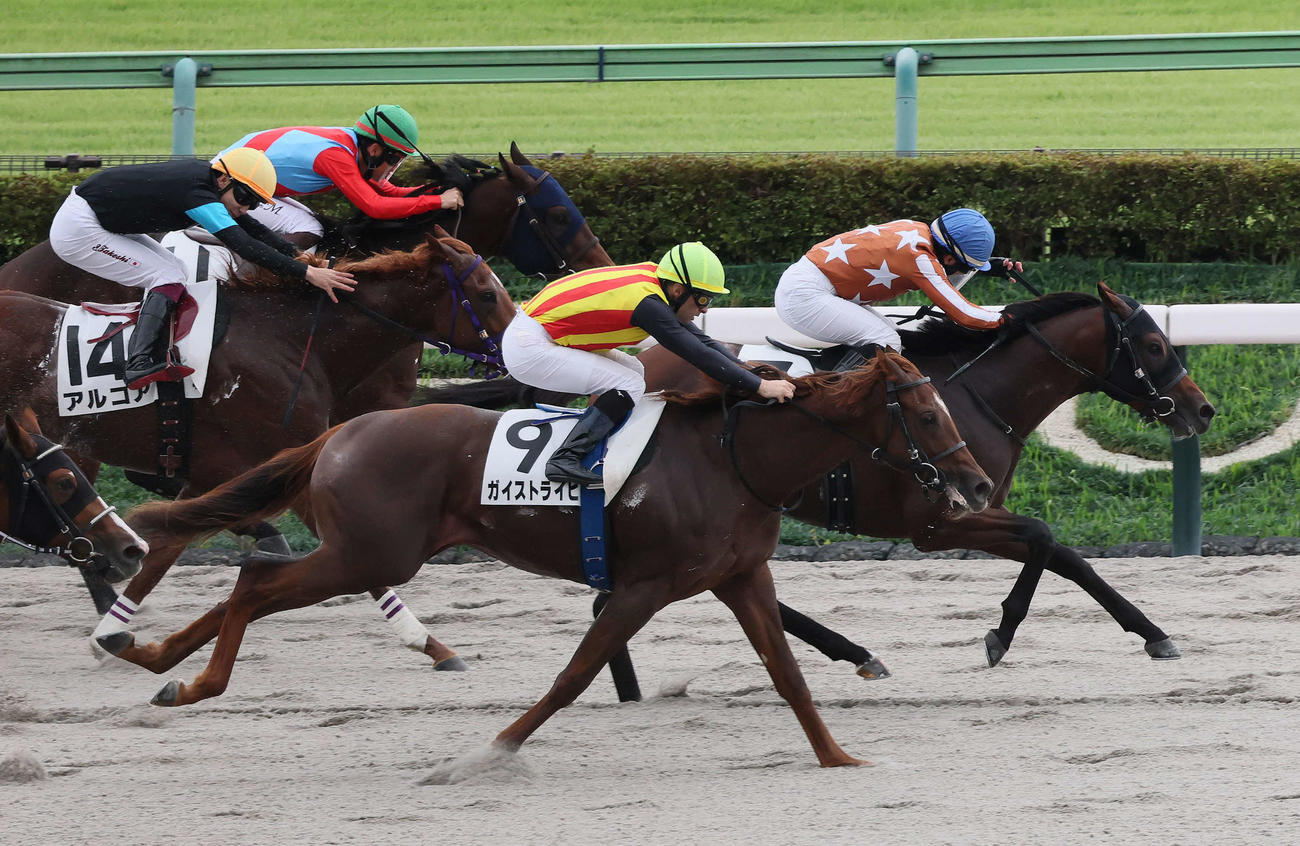 東京4R、2歳新馬戦を制したレイオブファイアと内田騎手（右）（撮影・丹羽敏通）