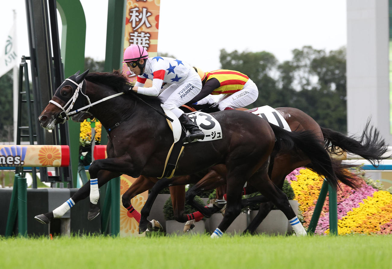 京都5R、ヴィサージュで新馬戦を制しJRA通算1100勝を達成した藤岡佑騎手（撮影・白石智彦）