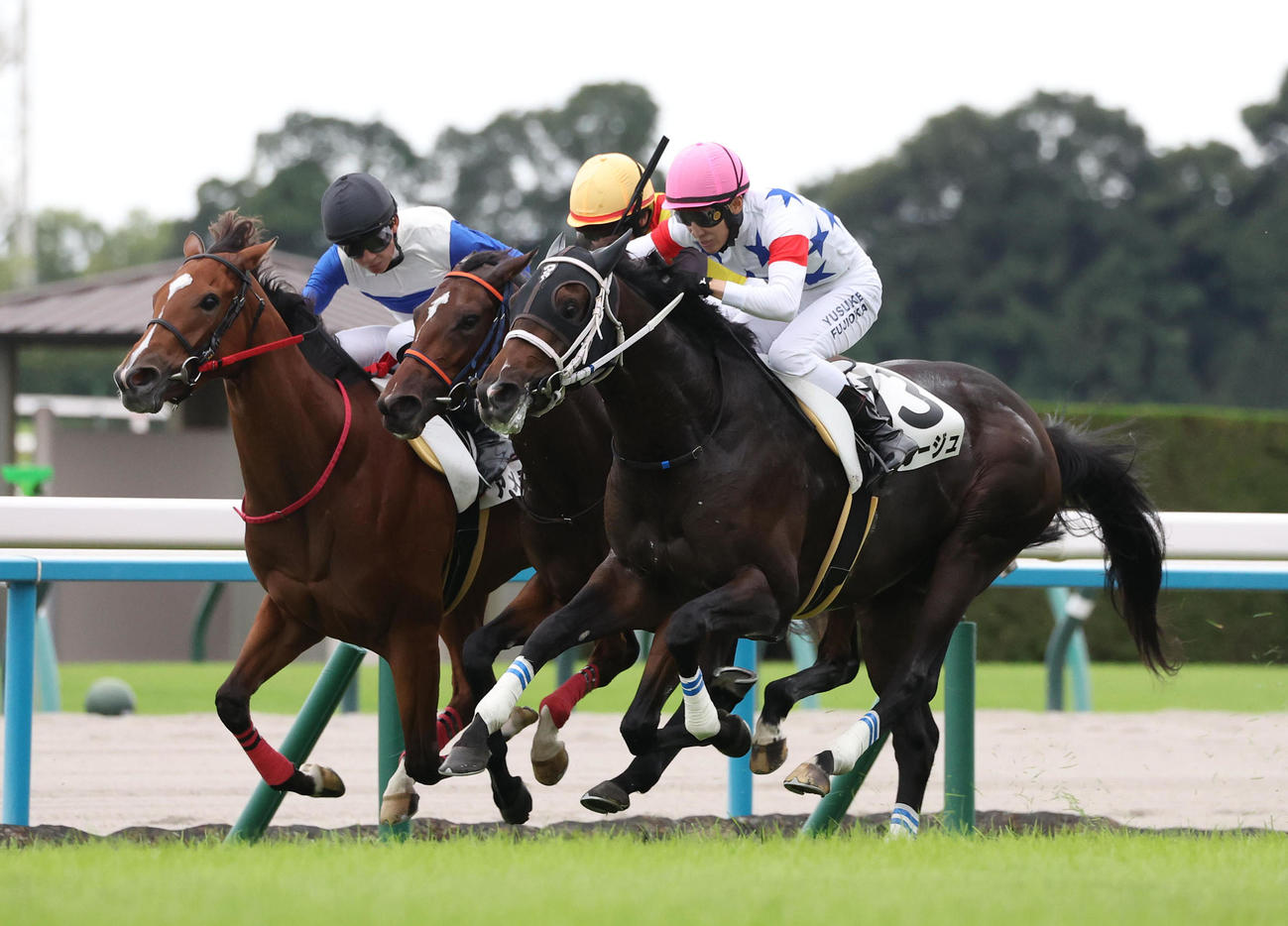 京都5R、ヴィサージュ（右）で新馬戦を制しJRA通算1100勝を達成した藤岡佑騎手（撮影・白石智彦）