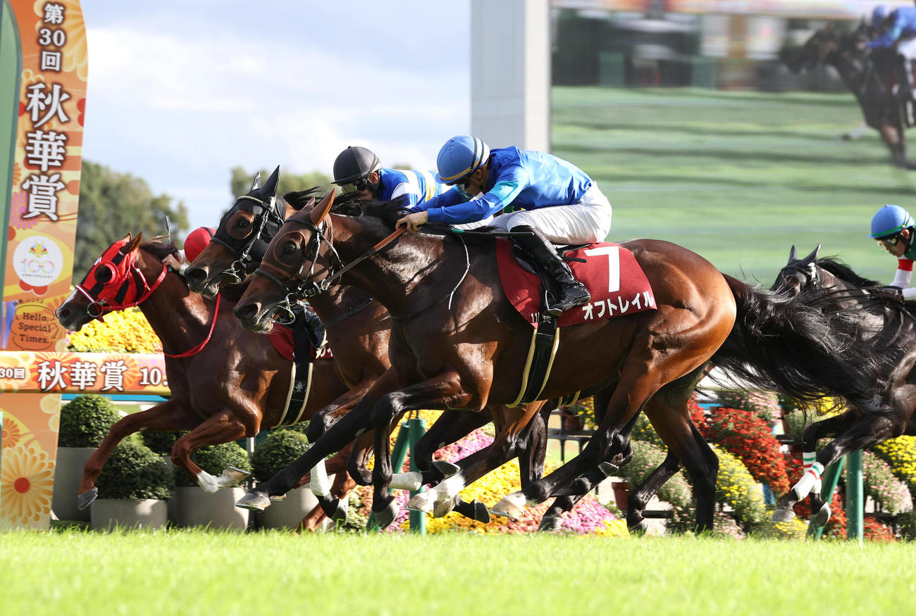 レコードタイムでスワンSを制したオフトレイル（右）（撮影・白石智彦）