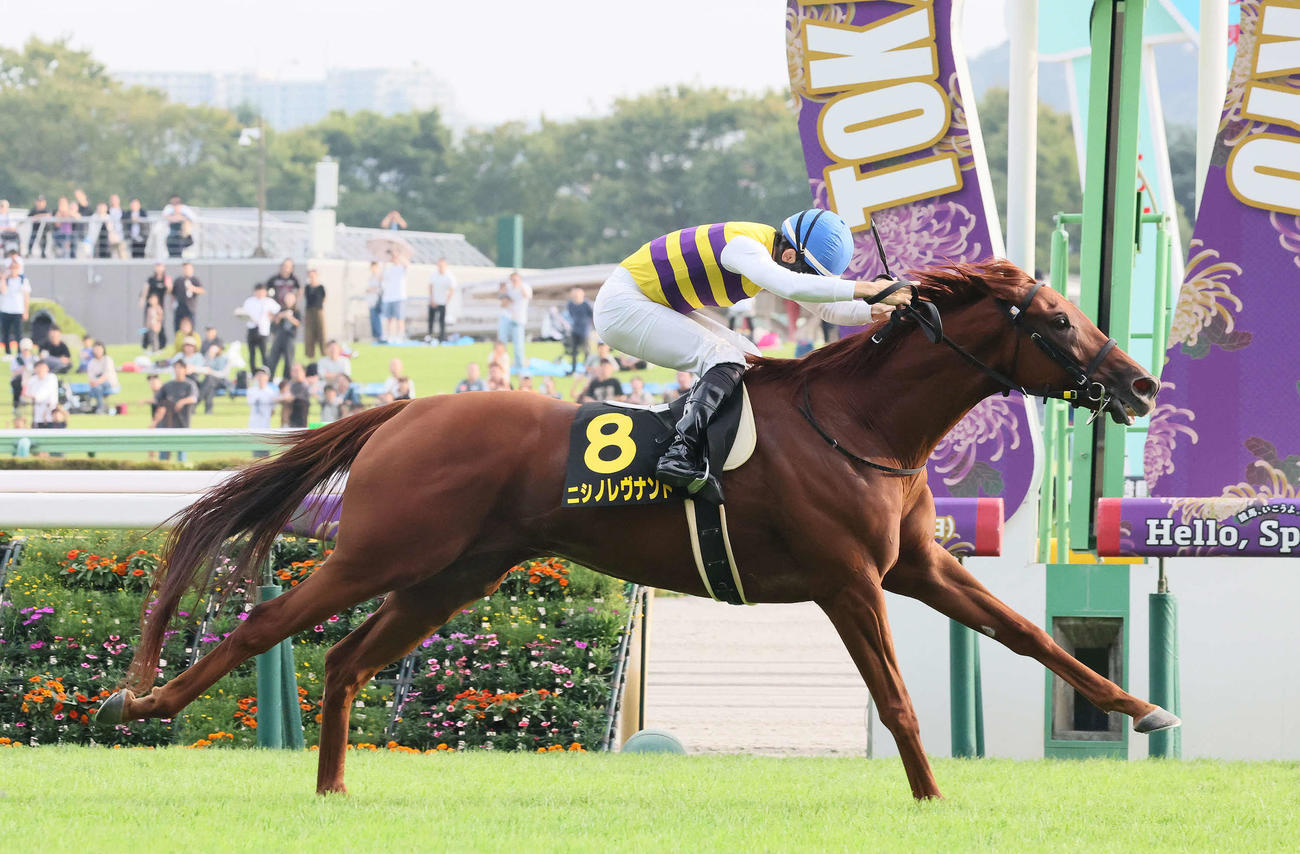 オクトーバーSを制したニシノレヴナントと野中騎手（撮影・丹羽敏通）