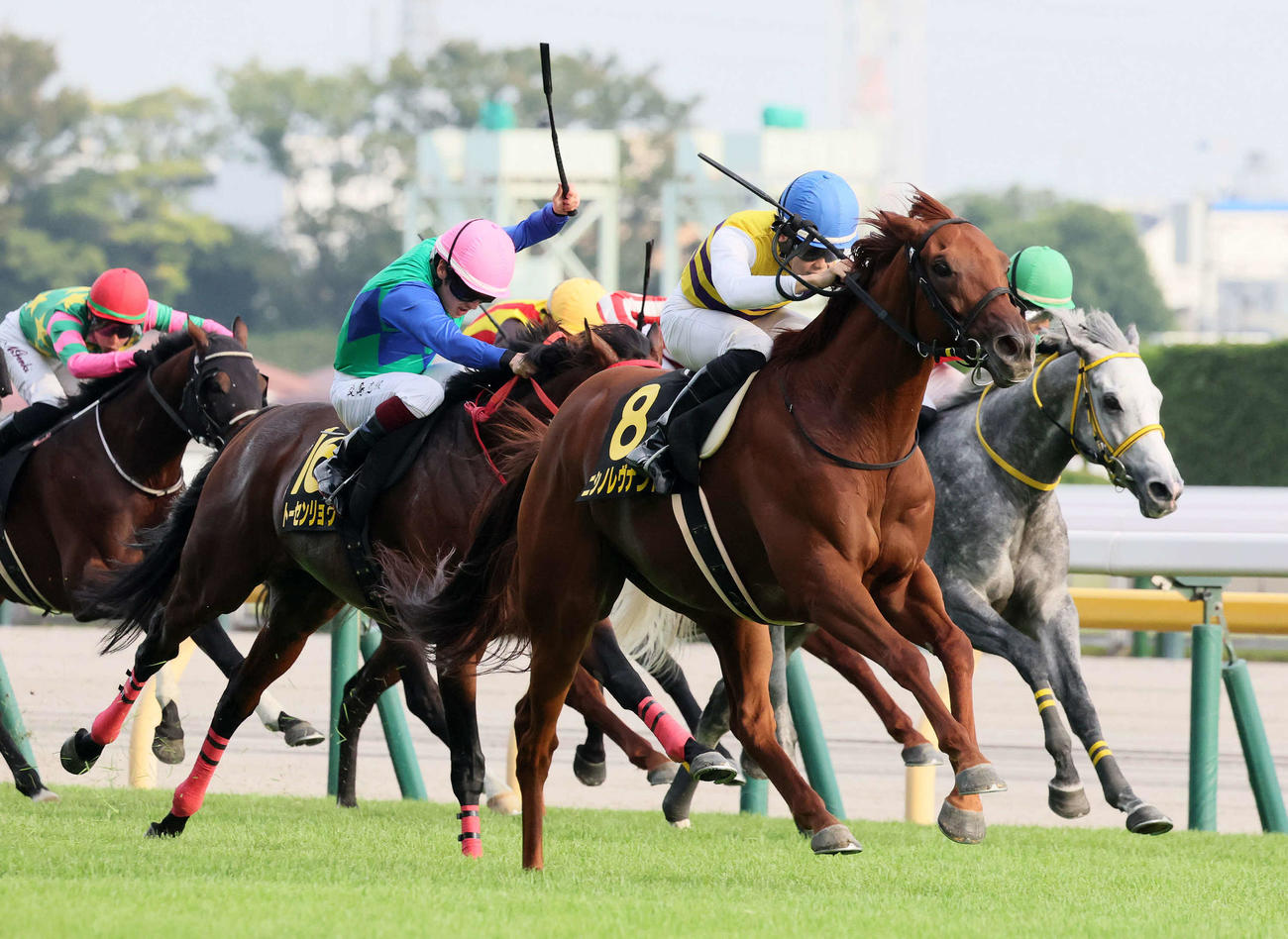 オクトーバーSを制したニシノレヴナントと野中騎手（撮影・丹羽敏通）