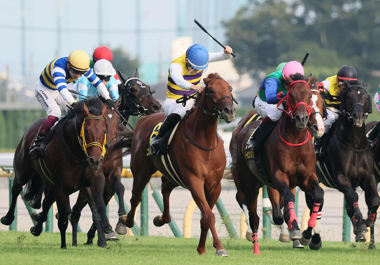 オクトーバーSを制したニシノレヴナントと野中騎手（中央）（撮影・丹羽敏通）