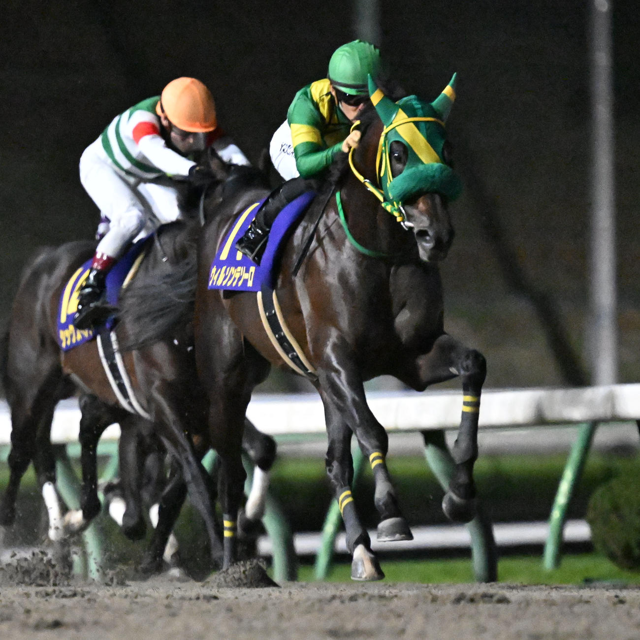 南部杯を制したウィルソンテソーロと川田将騎手（右）（撮影・千葉一成）