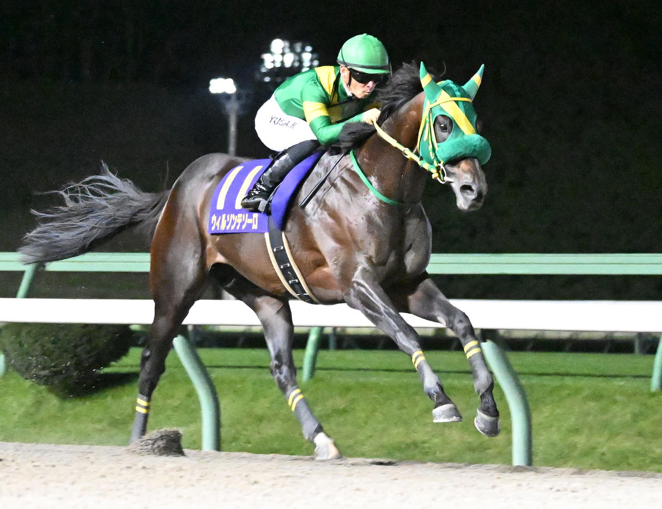 南部杯を制したウィルソンテソーロと川田将騎手（撮影・千葉一成）