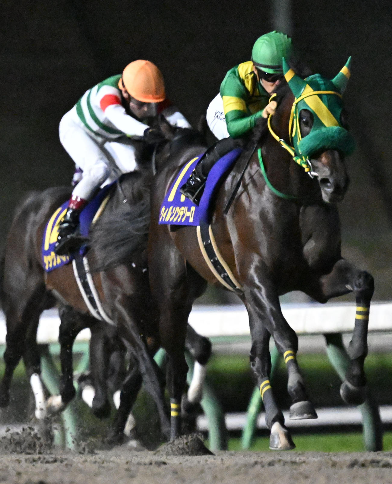 南部杯2着に敗れたシックスペンス（左）。右は勝ったウィルソンテソーロ（撮影・千葉一成）