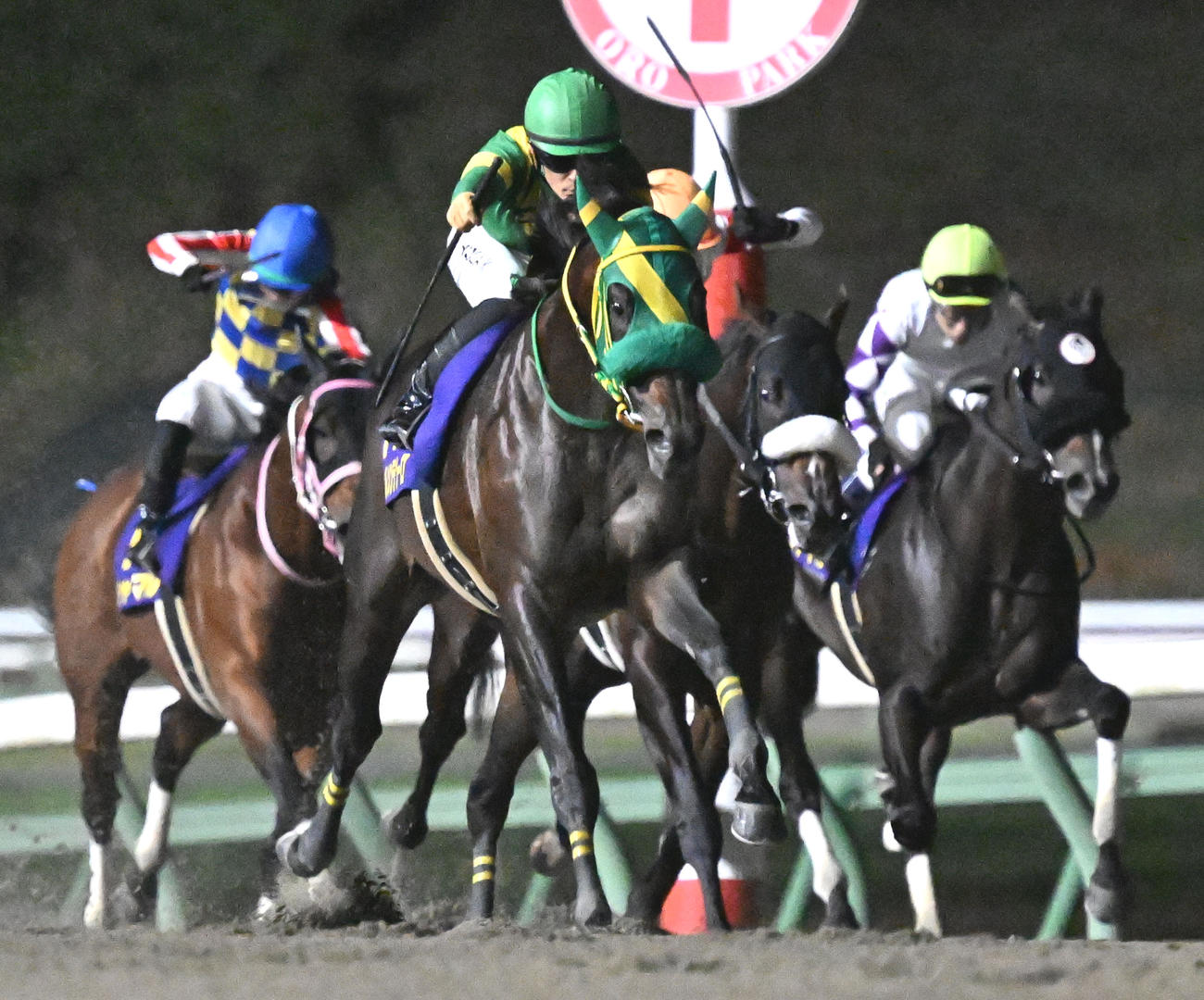 ウィルソンテソーロ（中央）が制した南部杯（撮影・千葉一成）