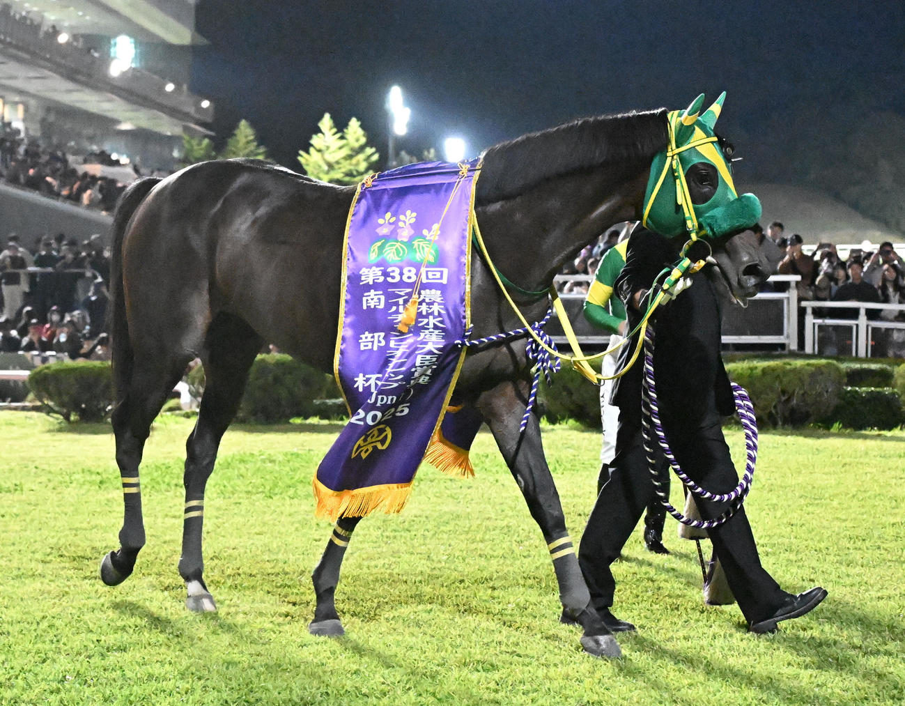 第38回マイルチャンピオンシップ南部杯を川田騎手で制したウィルソンテソーロ（撮影・千葉一成）
