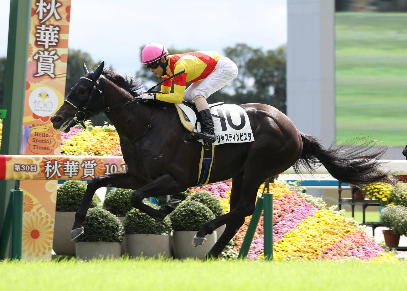 直線抜け出して新馬戦を制したジャスティンビスタ（撮影・白石智彦）