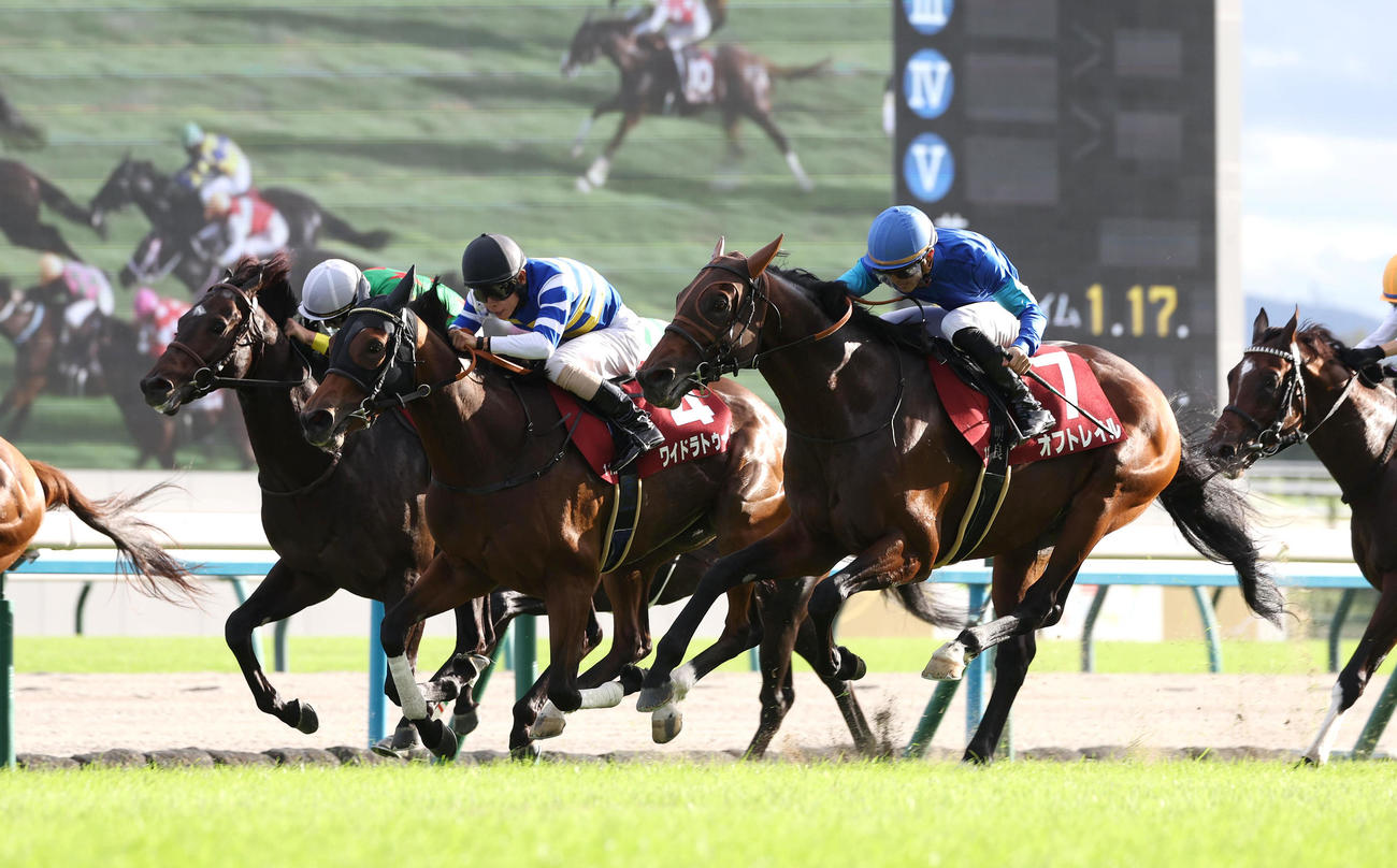 スワンSを制したオフトレイル（右）と2着のワイドラトゥール（中央）、3着のランスオブカオス（左）