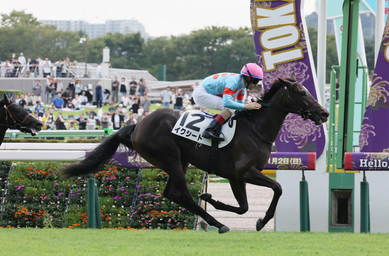 東京5R、2歳新馬戦に勝利したイクシードとルメール騎手（撮影・丹羽敏通）