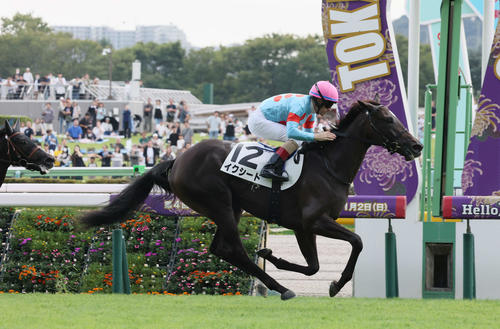 牡馬サウジアラビアRC覇者エコロアルバ＆牝馬新馬勝ちイクシード、小結
