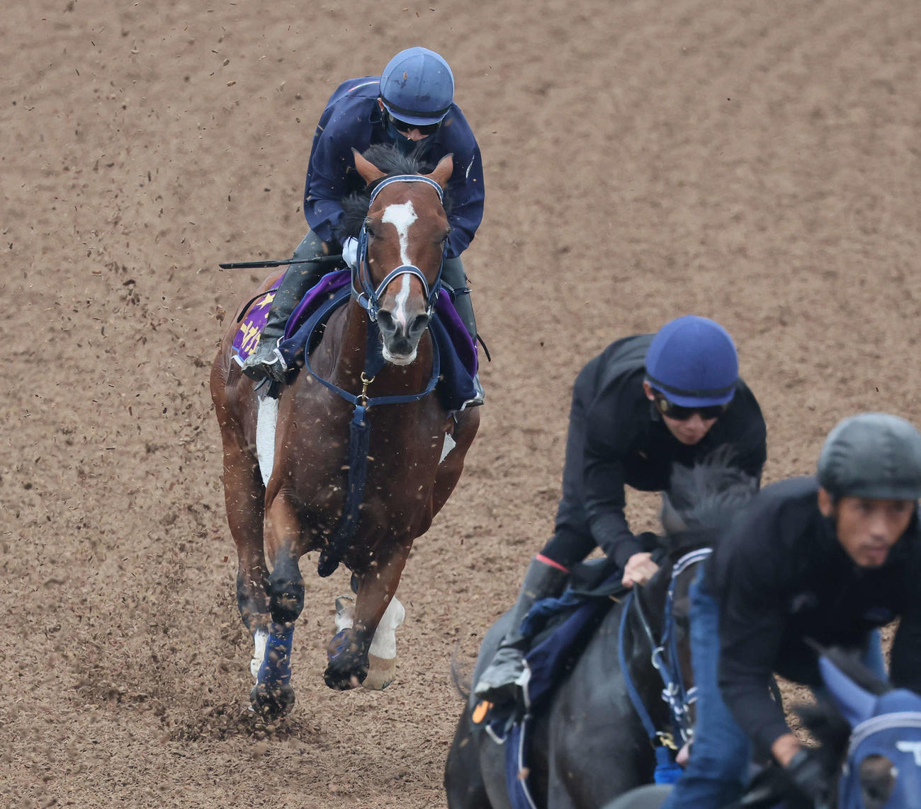 ソールオリエンスは嶋田騎手を背に美浦ウッドで追い切られた（撮影・丹羽敏通）