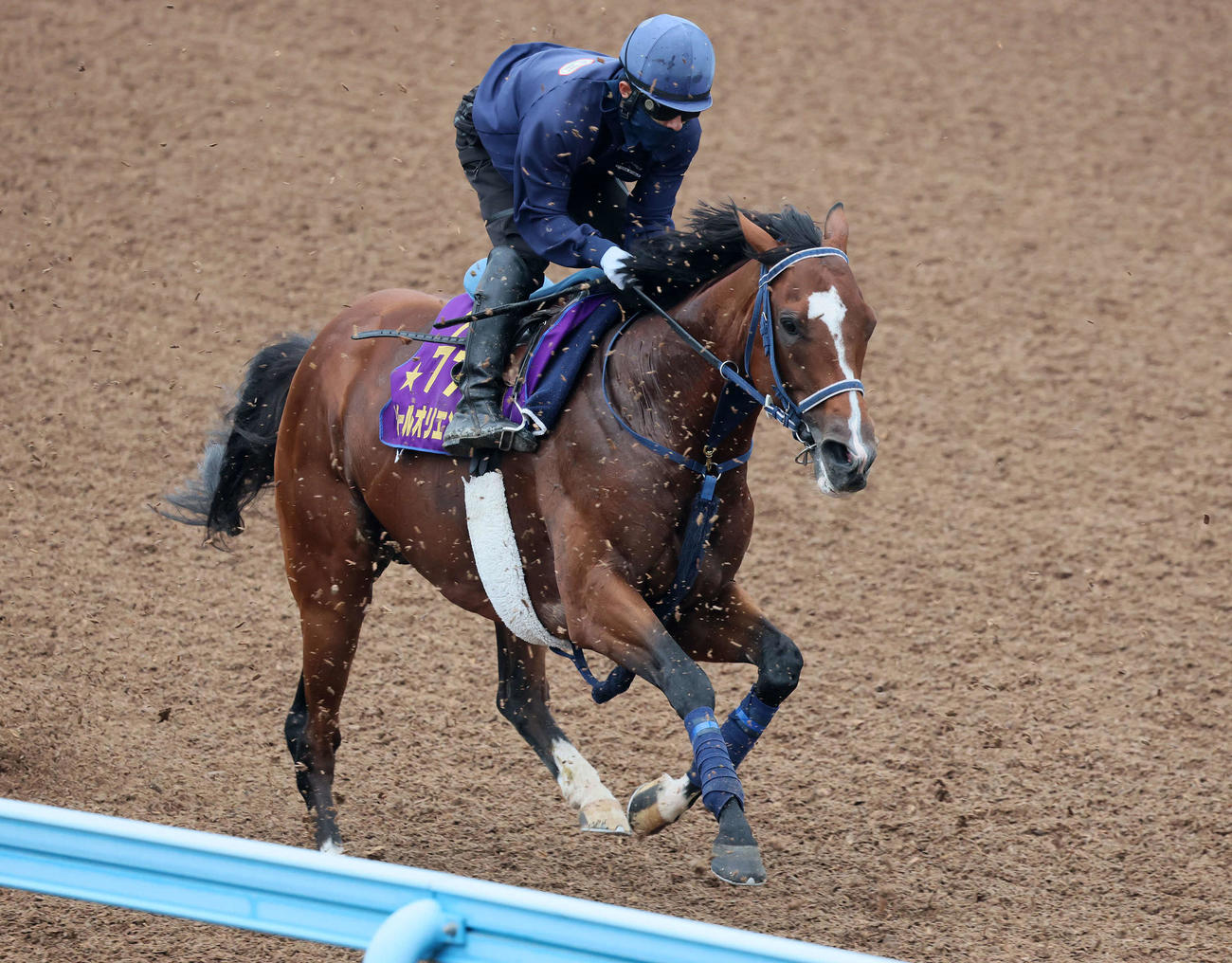 ソールオリエンスは嶋田騎手を背に美浦ウッドで追い切られた（撮影・丹羽敏通）