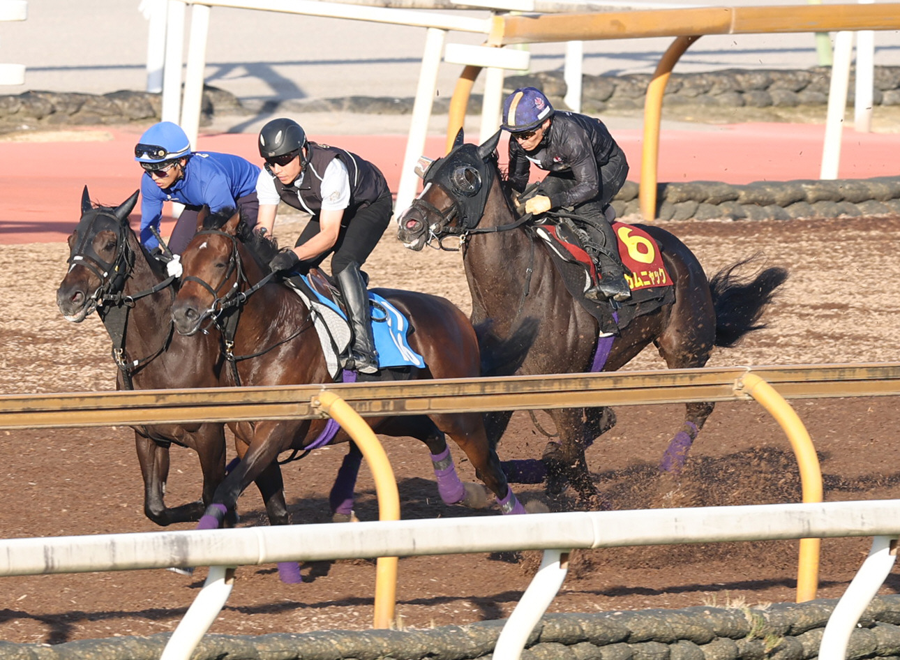 9日、秋華賞1週前追い切りで川田騎手を背にCウッドで3頭併せで追い切るカムニャック（右）