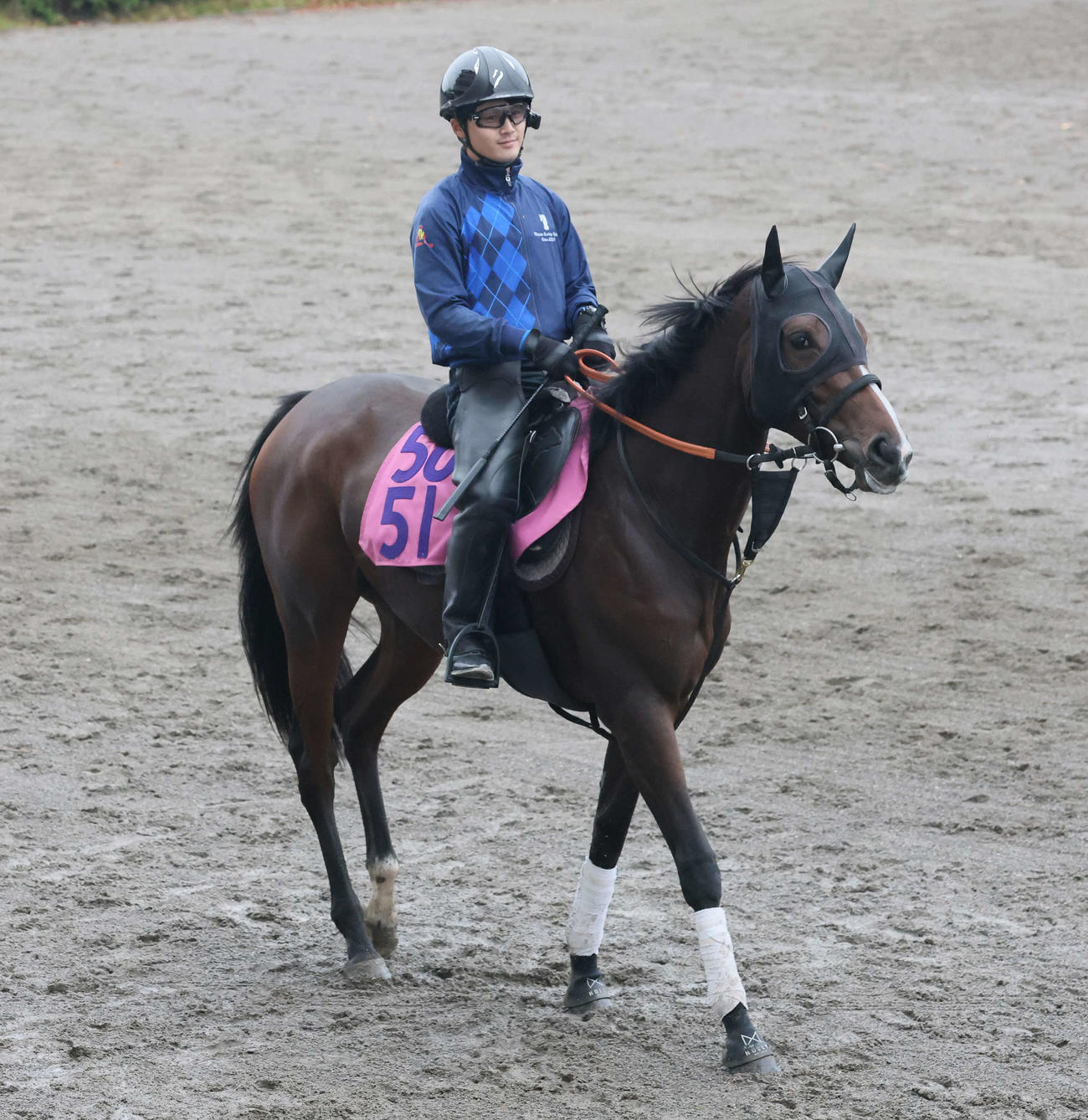 馬場へ向かうアートバーゼル（撮影・丹羽敏通）