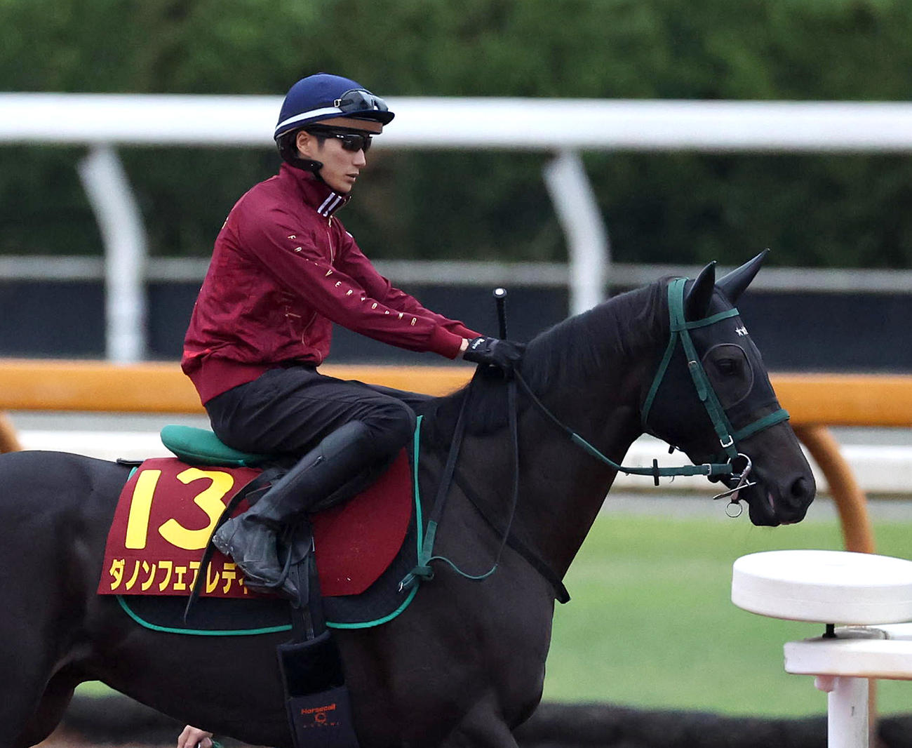 坂井騎手を背に馬場入りするダノンフェアレディ（撮影・白石智彦）