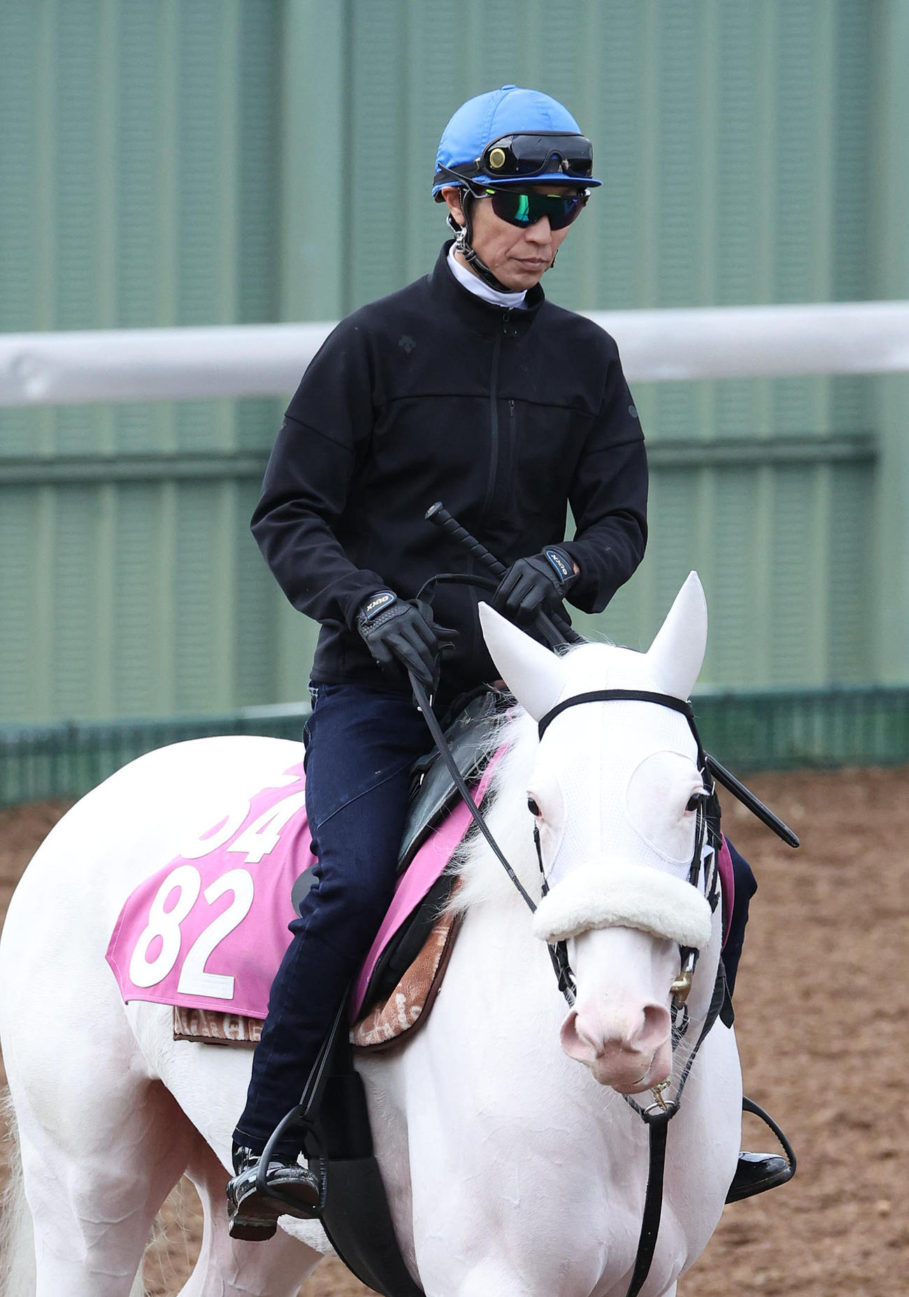 武豊騎手を背に角馬場で運動するマルガ（撮影・白石智彦）