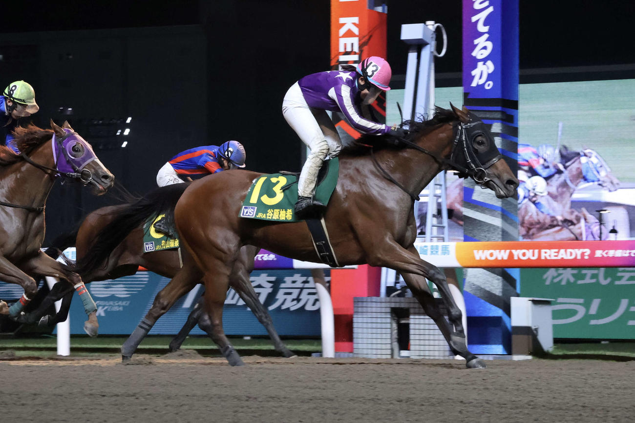 メイワノワで初勝利を挙げた谷原柚希騎手（撮影・牛山基康）