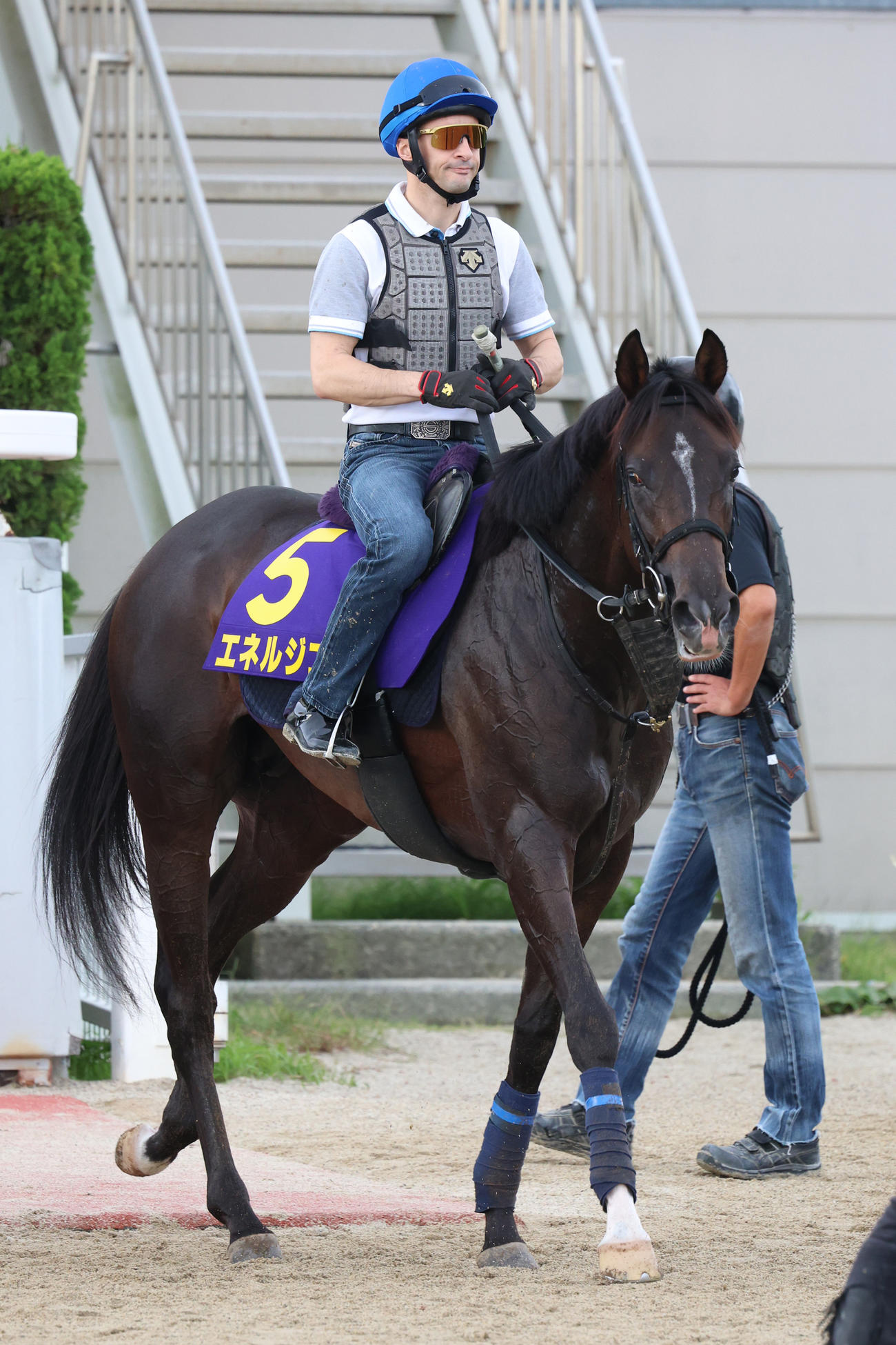1週前追い切りを終え引き揚げるエネルジコ