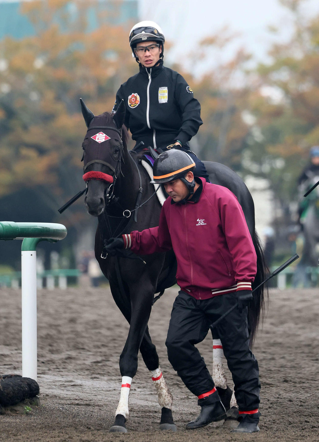 馬場へ向かうエコロデュエルと草野騎手（撮影・丹羽敏通）