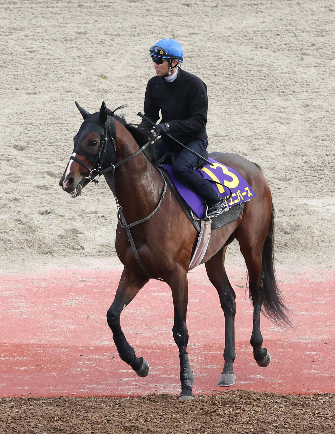 武豊騎手を背に馬場入りするマイユニバース（撮影・白石智彦）
