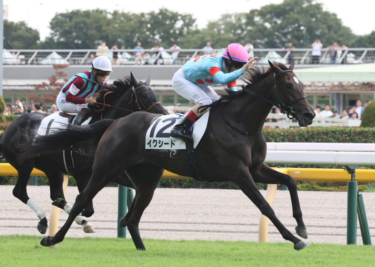 12日東京5R新馬戦を制したイクシード
