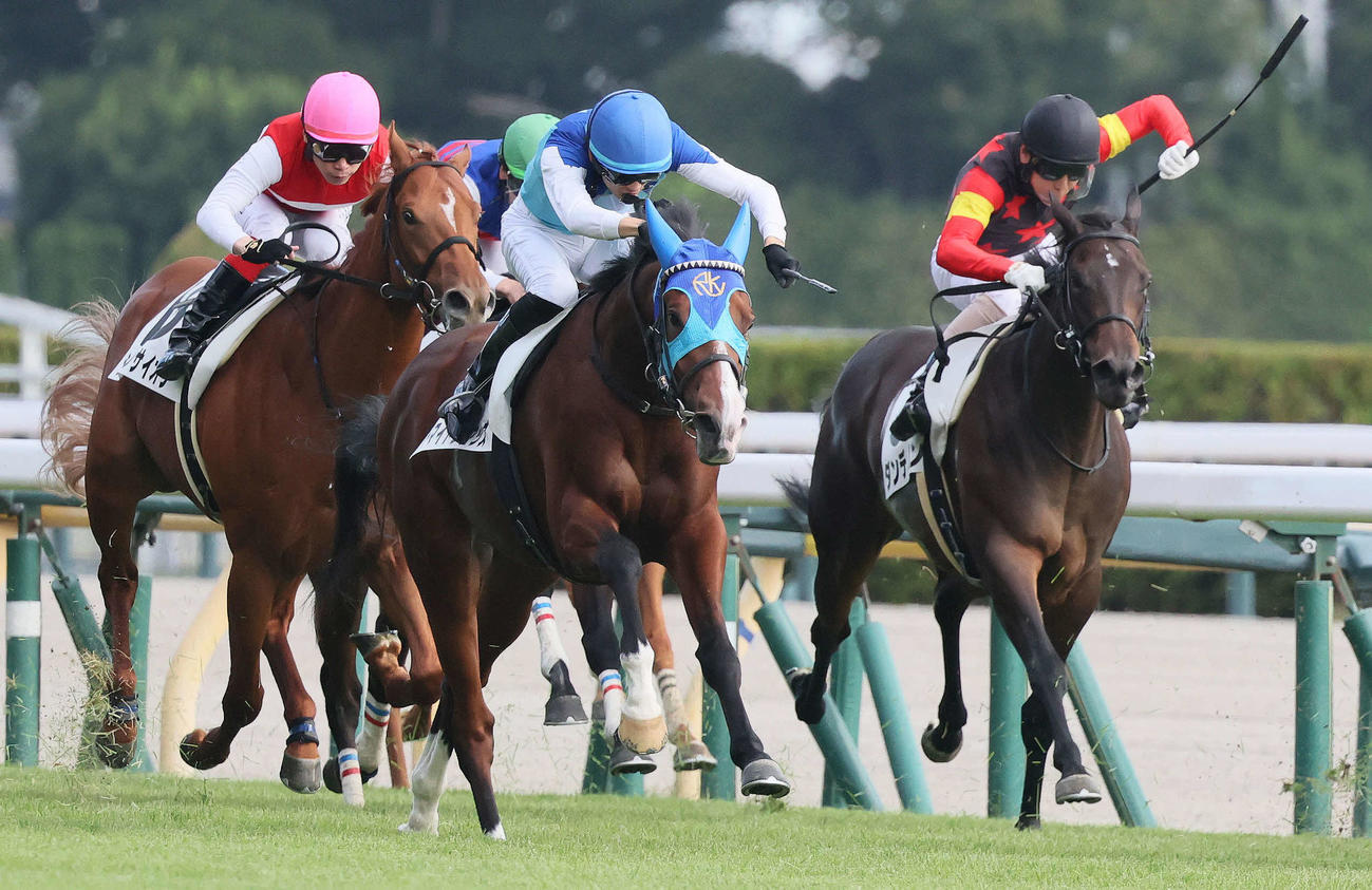 東京5R、2歳新馬戦を制したアドマイヤクワッズと坂井騎手（中央）（撮影・丹羽敏通）