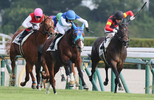 アドマイヤクワッズが差し切り「期待していた馬」「年末のマイル戦を