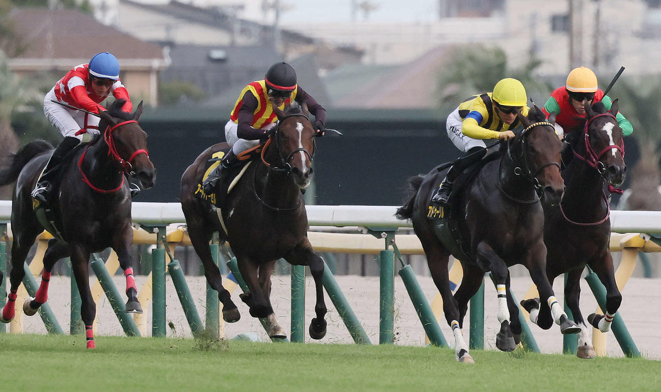 アイビーSを制したアンドゥーリルと川田騎手（右から2頭目）（撮影・丹羽敏通）
