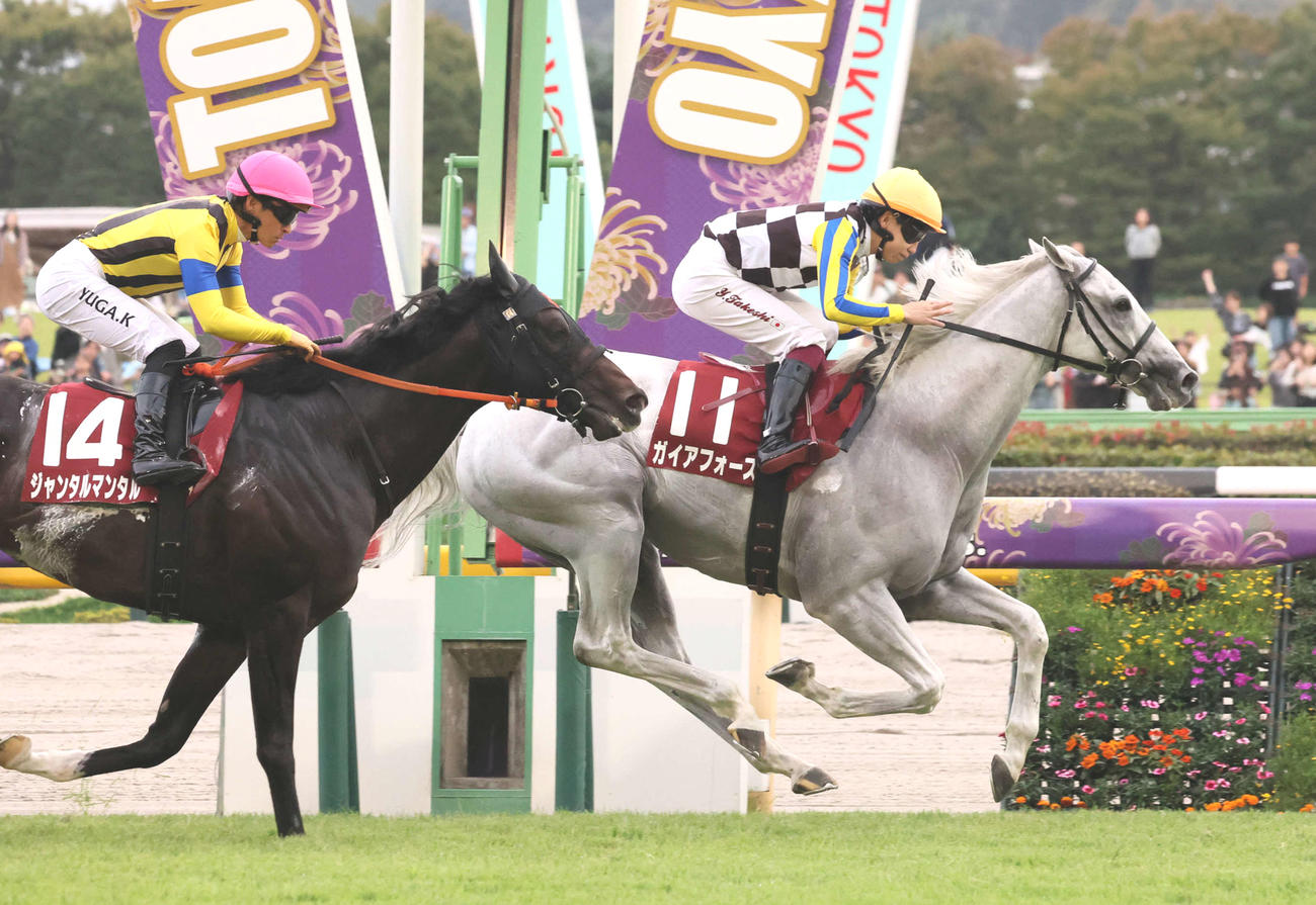 富士Sを制したガイアフォースと横山武騎手（右）。左は2着ジャンタルマンタル（撮影・丹羽敏通）