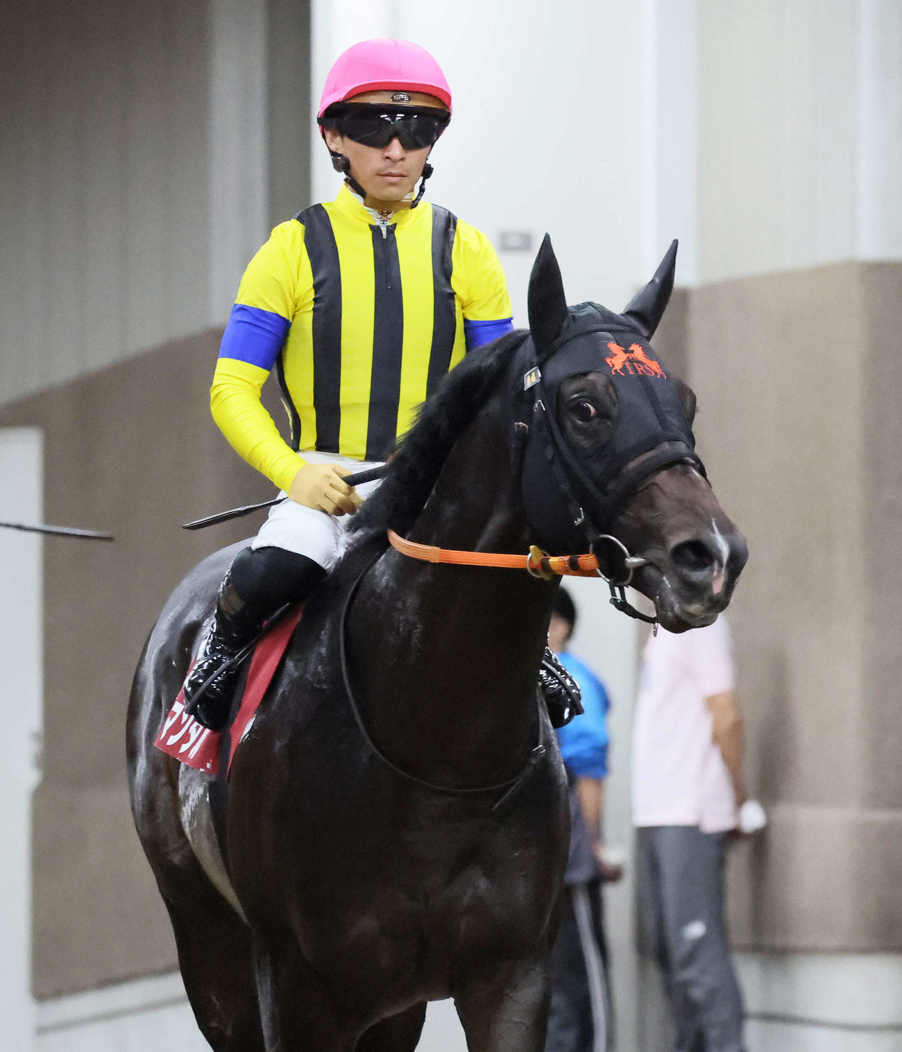 富士S2着に敗れ引き揚げるジャンタルマンタルと川田騎手（撮影・丹羽敏通）
