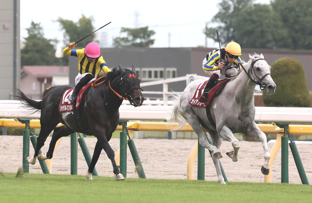 ガイアフォース（右）が制した富士S（撮影・丹羽敏通）