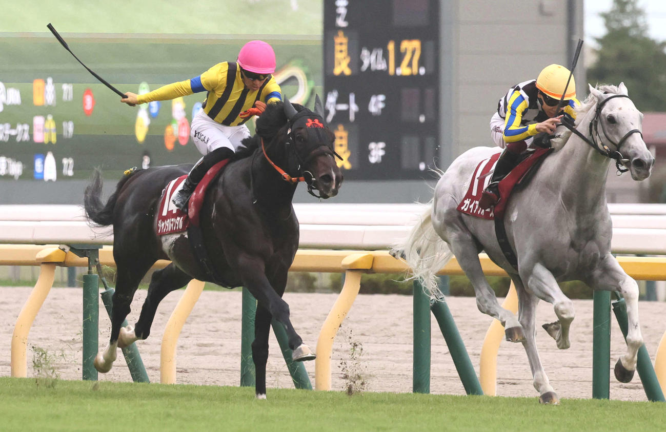 富士S2着に敗れたジャンタルマンタル（左）。右は勝ったガイアフォース（撮影・丹羽敏通）