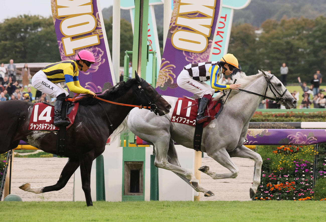 東京11R、富士Sを制したガイアフォースと横山武騎手（右）（撮影・丹羽敏通）