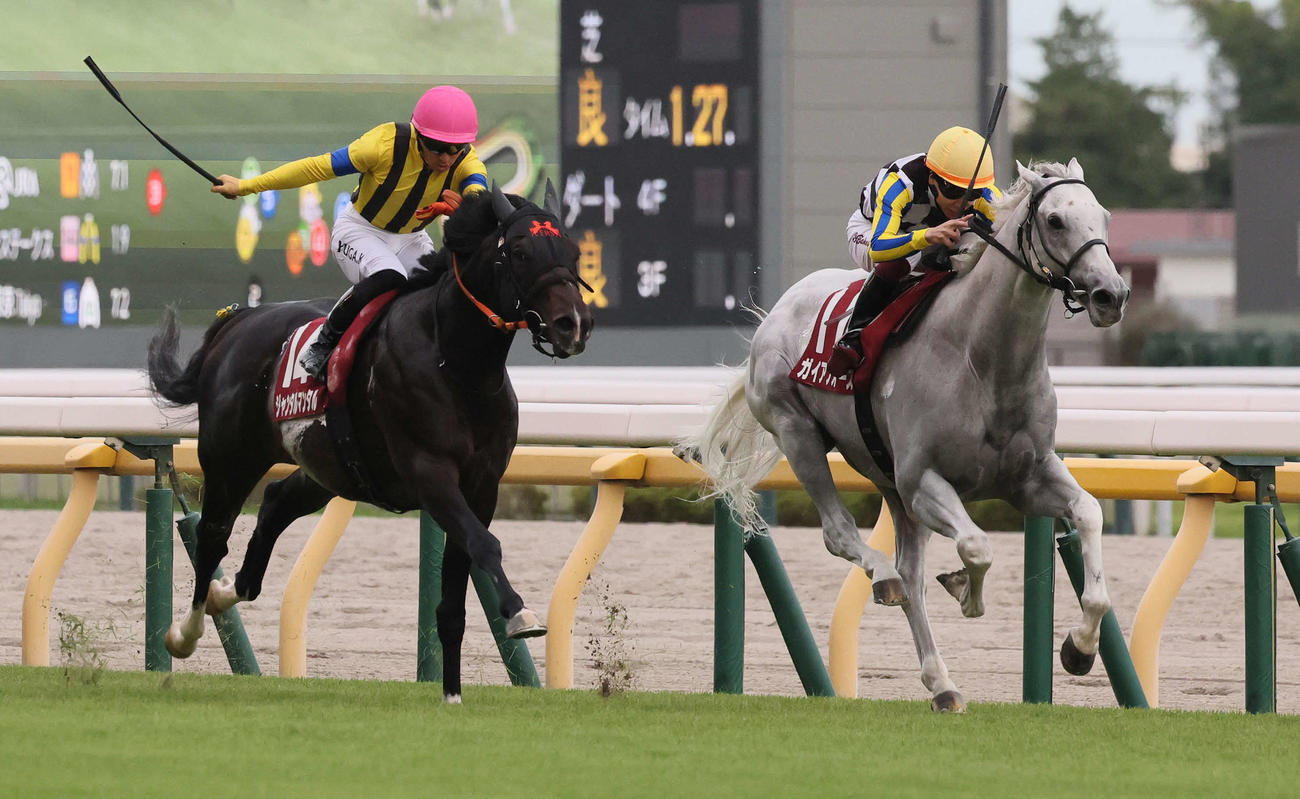 東京11R、富士Sを制したガイアフォースと横山武騎手（右）。左は2着ジャンタルマンタル（撮影・丹羽敏通）