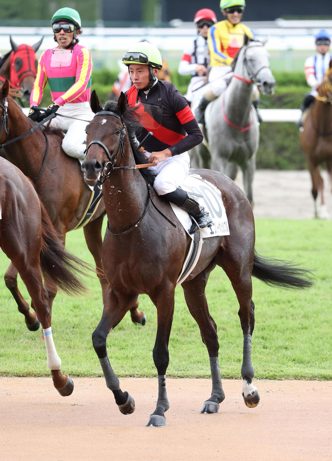 京都6R、新馬戦を制したエブリーポッシブル（撮影・白石智彦）