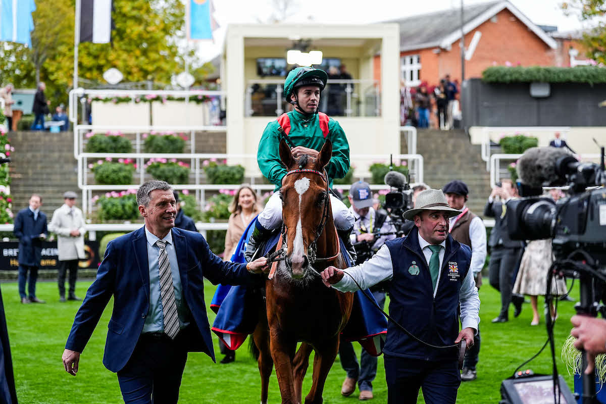 英チャンピオンSを制したカランダガンとバルザローナ騎手（C）Megan　Coggin／Ascot　Racecourse