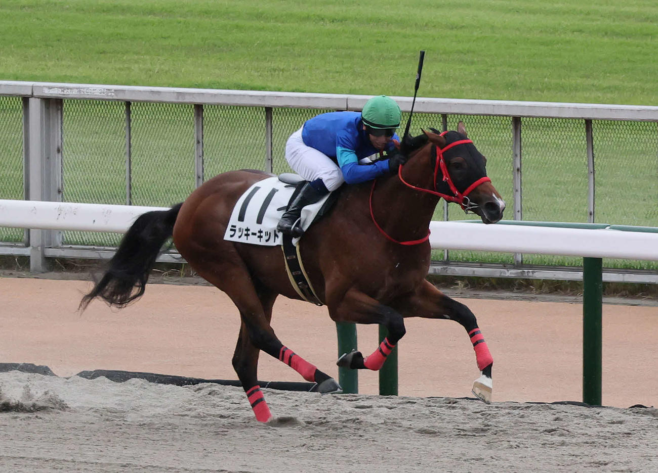 東京4R、2歳新馬戦を快勝したラッキーキッドと北村宏騎手（撮影・丹羽敏通）