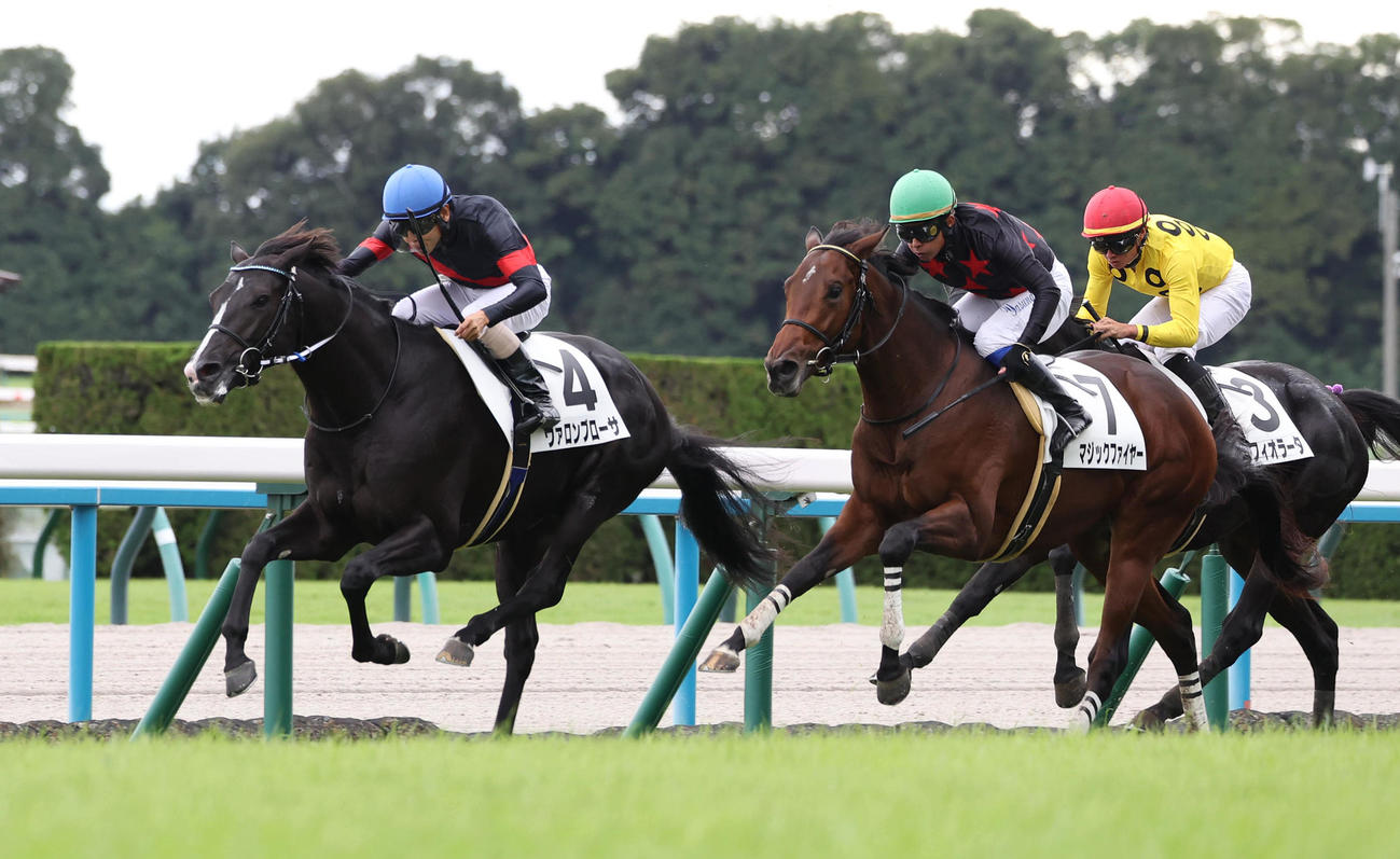 京都5R新馬戦を制したヴァロンブローサ（左）（撮影・白石智彦）