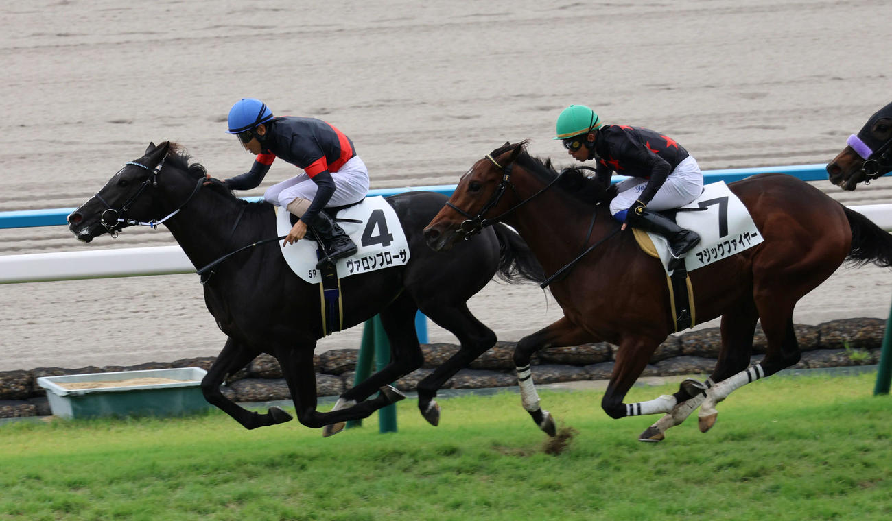 京都5R新馬戦を制したヴァロンブローサ（左）