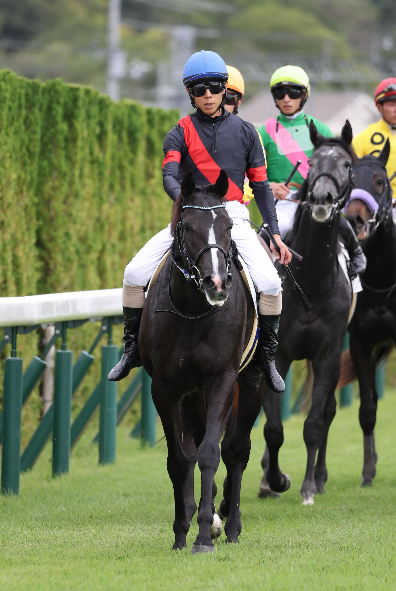 京都5R新馬戦を制したヴァロンブローサ（撮影・白石智彦）