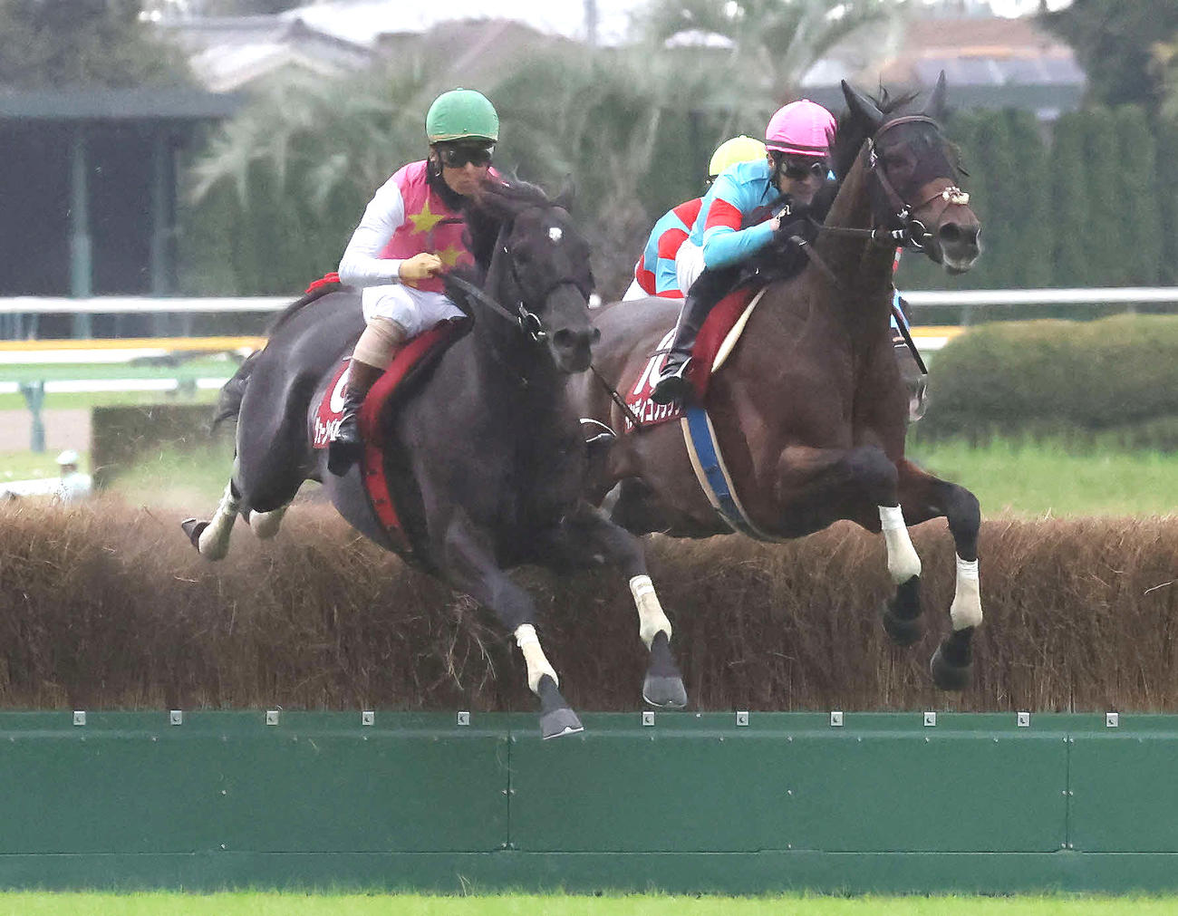 東京HJを制したジューンベロシティと高田騎手（左）（撮影・丹羽敏通）