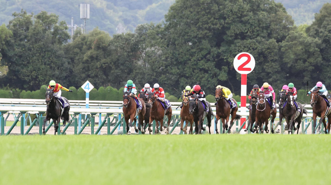 逃げたエリカエクスプレス（左）を差し切って秋華賞を制したエンブロイダリー（左から2頭目）（撮影・白石智彦）