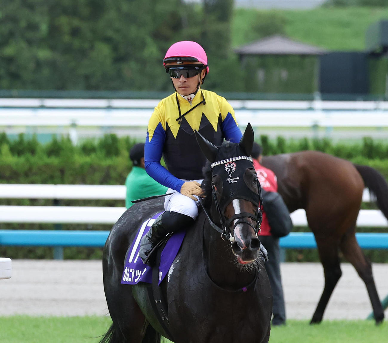 秋華賞16着に敗れた1番人気のカムニャック（撮影・白石智彦）