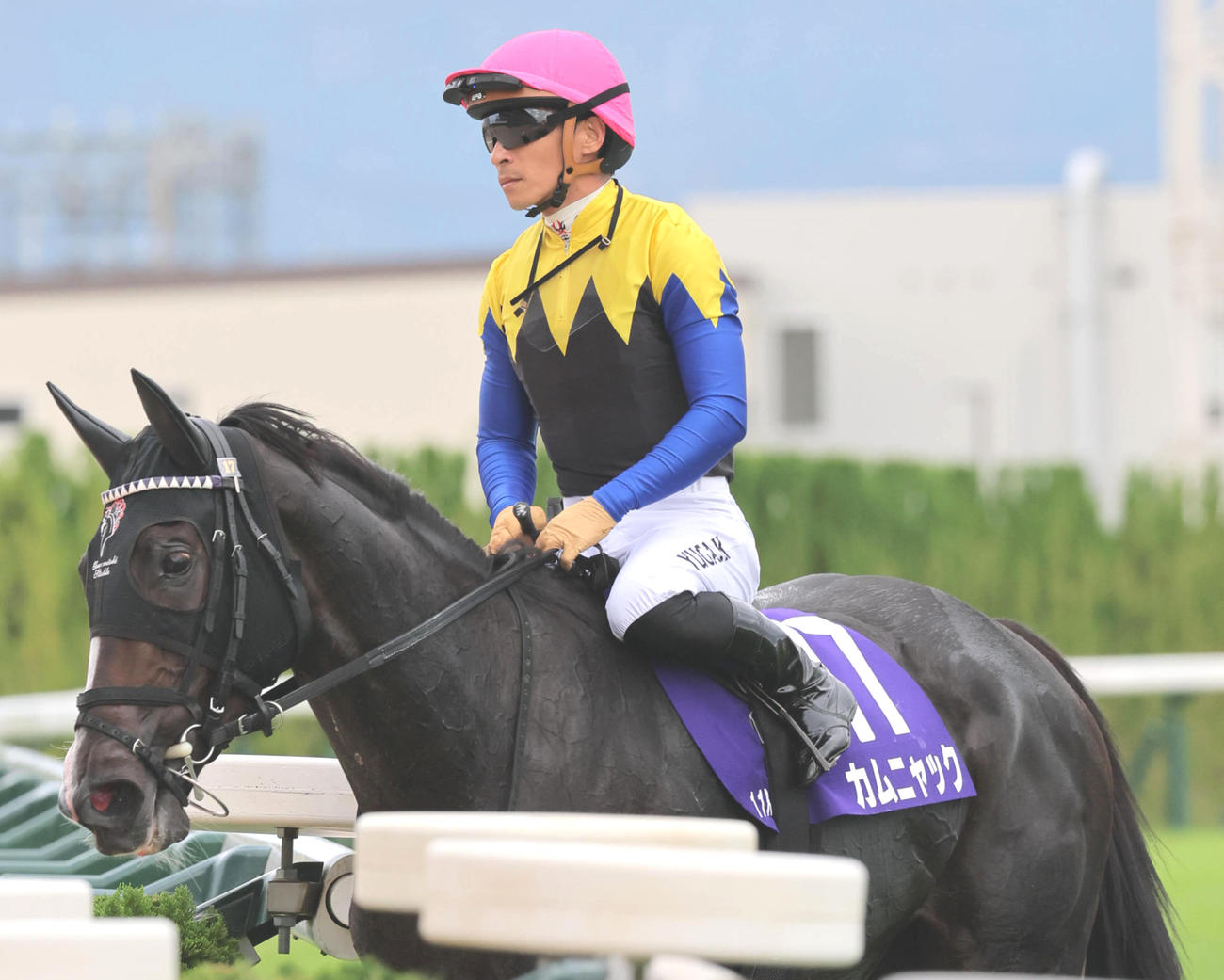 秋華賞で16着に敗れたカムニャック（撮影・宮崎幸一）