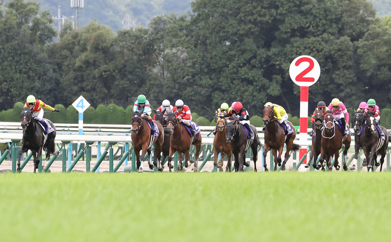 残り200mで後方に下がっていくカムニャック（右から2頭目）